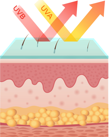 uv-rays